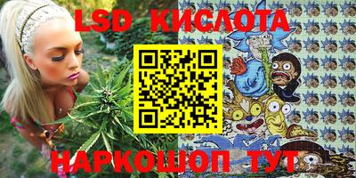 шишки Ливны
