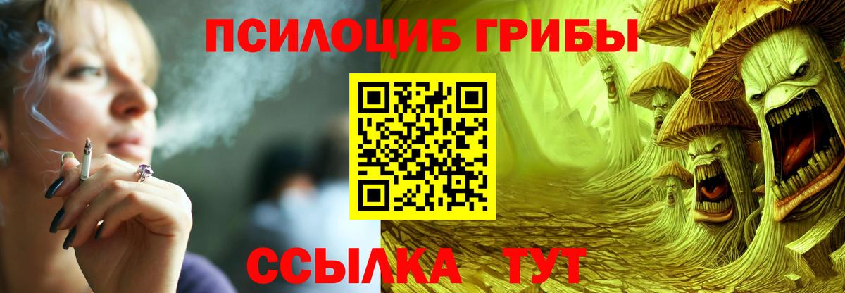 Псилоцибиновые грибы прущие грибы Иваново